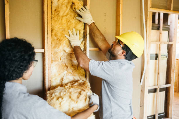 Types of Insulation We Offer in Stockton University, NJ